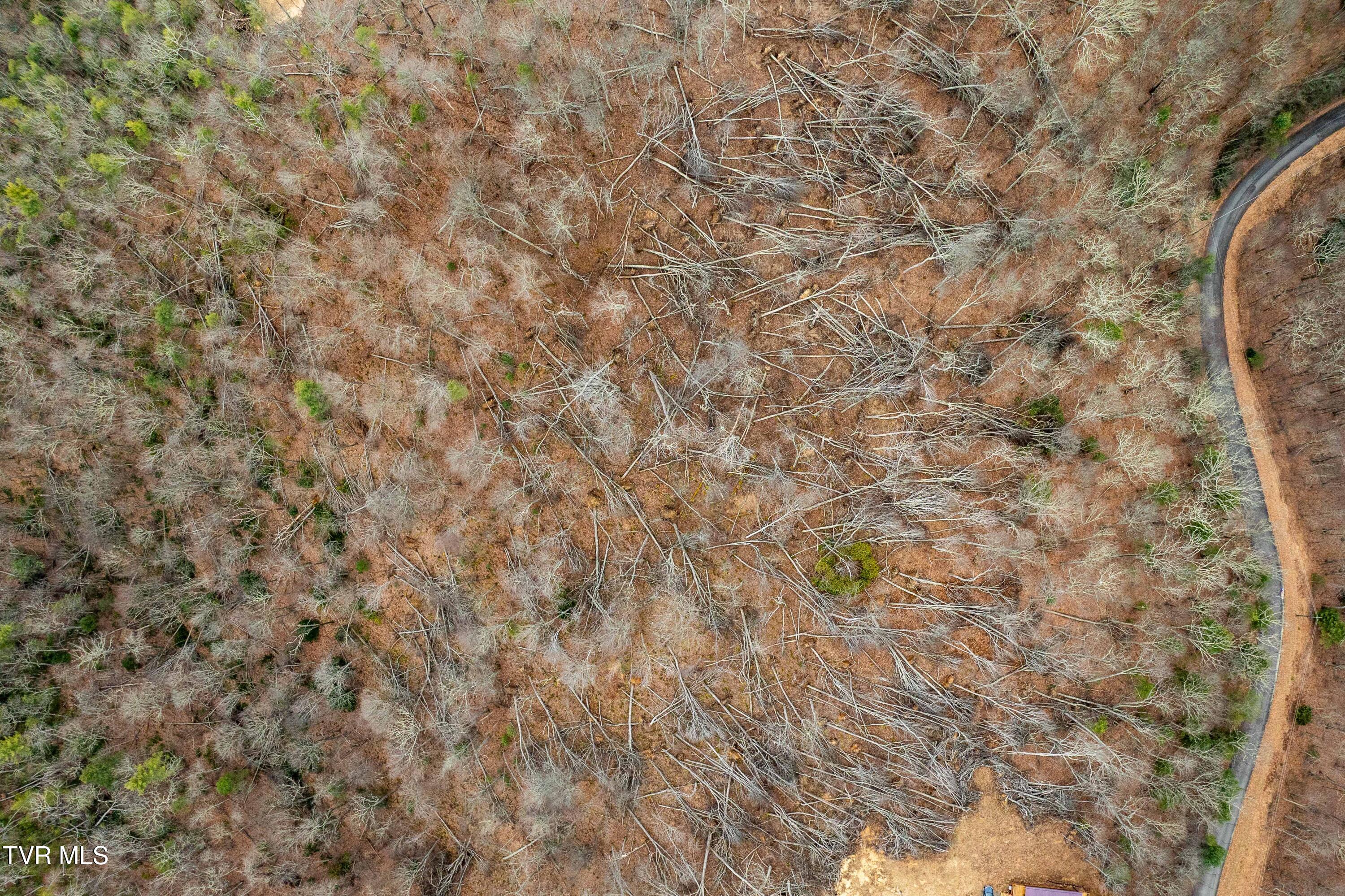 R-6 Callalantee Drive, Unit R6 Mountain City, TN 37683 - Photo 6 of 19 TBD CALLALANTEE DR (2 of 25)