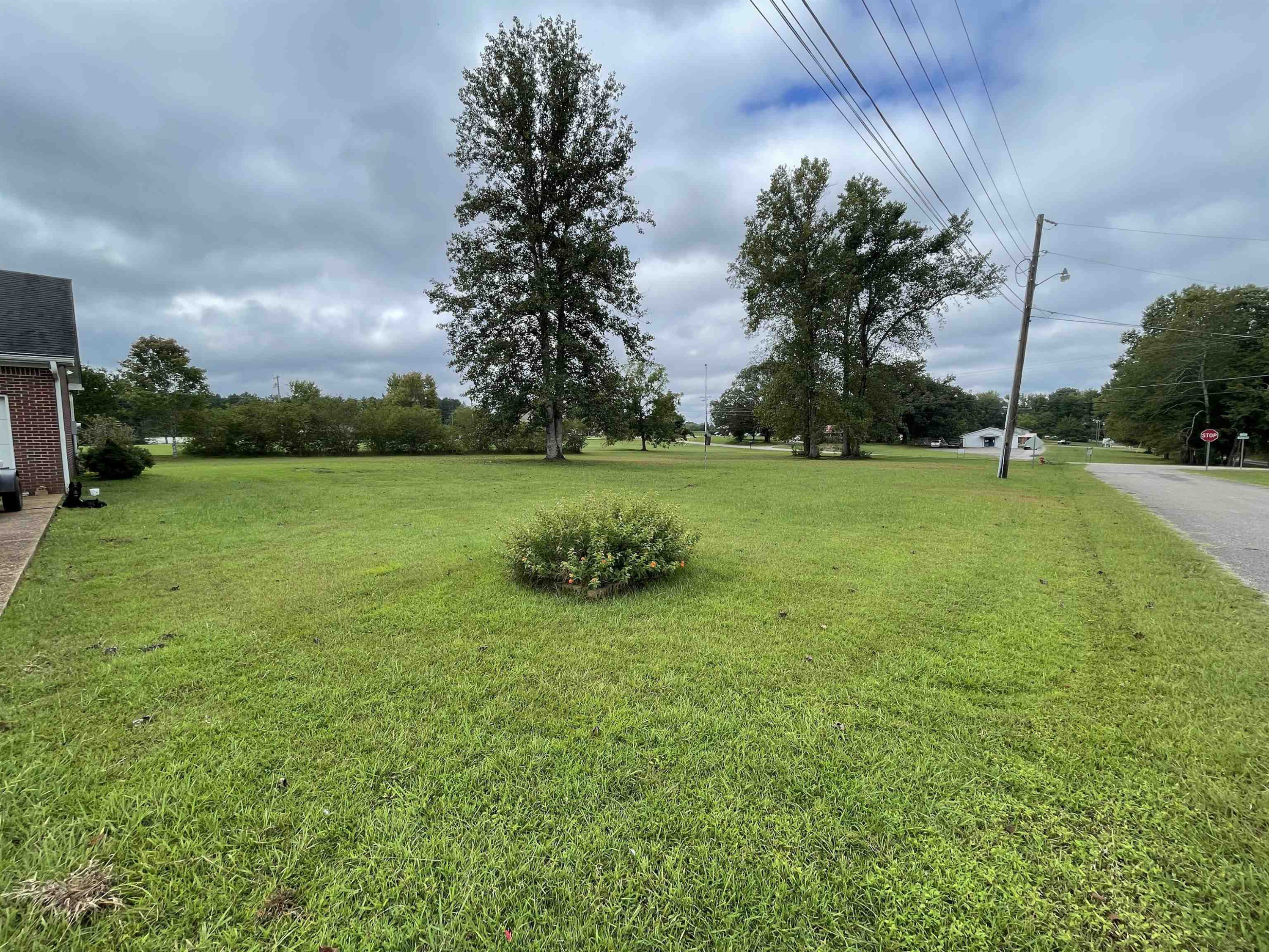 46 East Iris Street Decaturville, TN 38329 - Photo 6 of 24 Photo 6