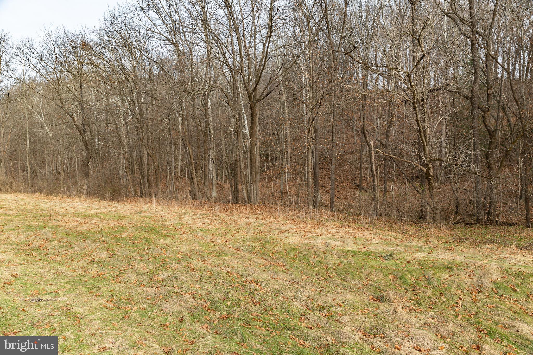 0 Red Bridge Road Kintnersville, PA 18930 - Photo 2 of 10
