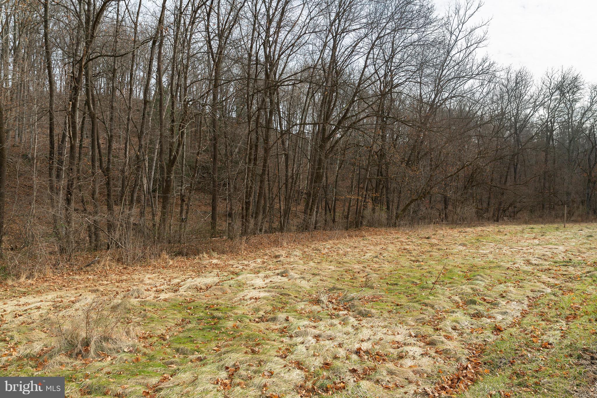 0 Red Bridge Road Kintnersville, PA 18930 - Photo 3 of 10