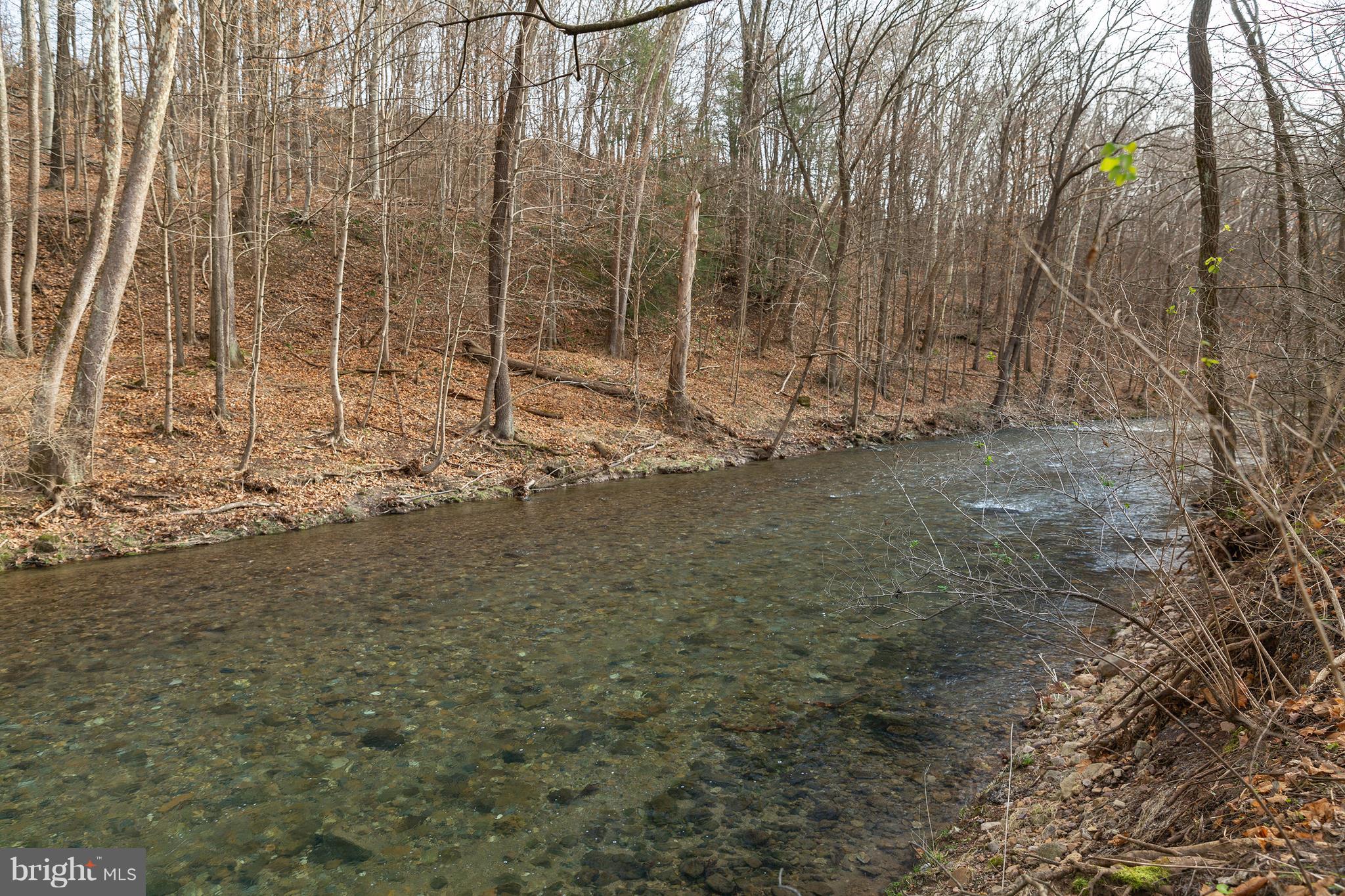 0 Red Bridge Road Kintnersville, PA 18930 - Photo 4 of 10