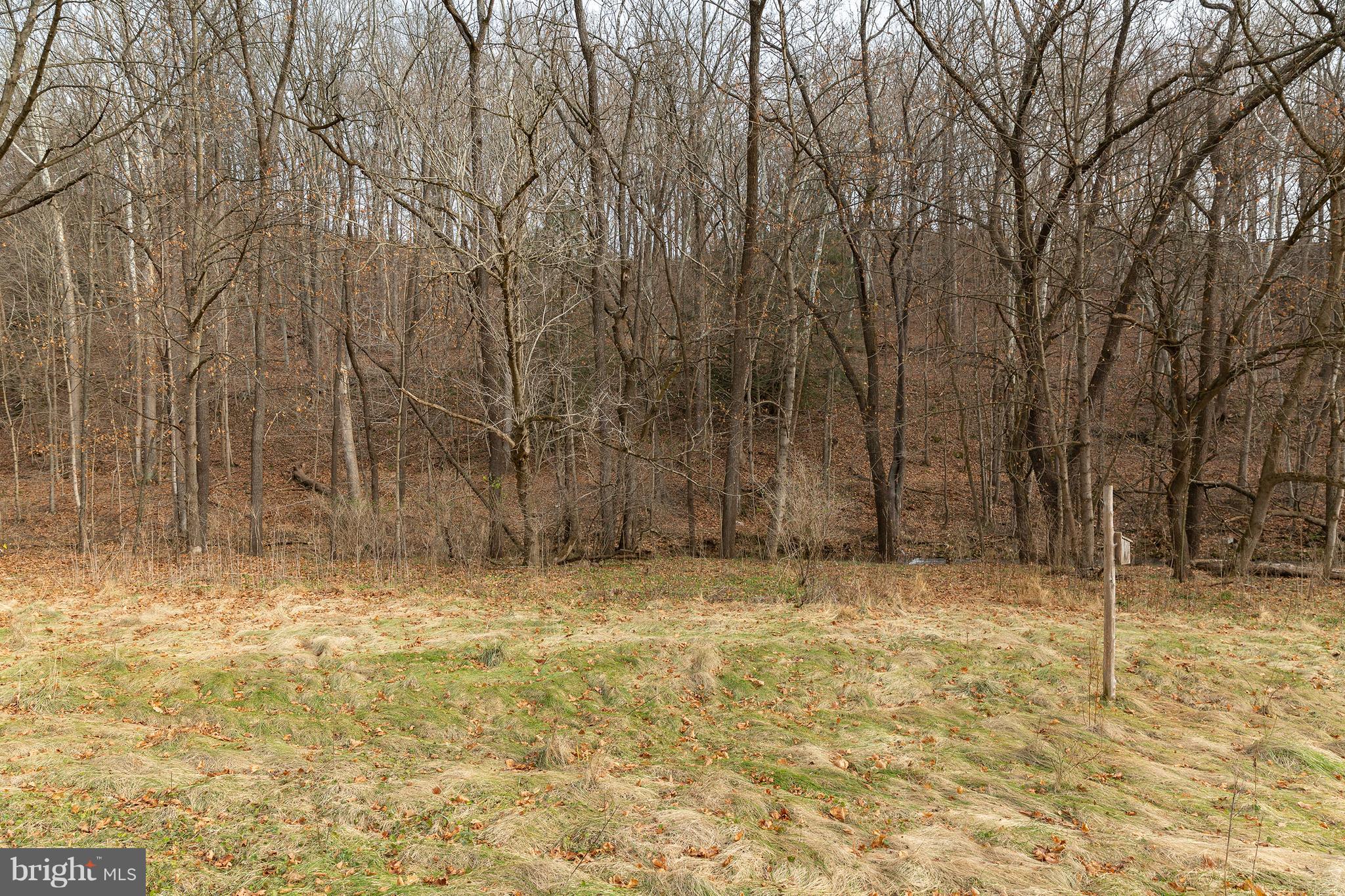 0 Red Bridge Road Kintnersville, PA 18930 - Photo 10 of 10