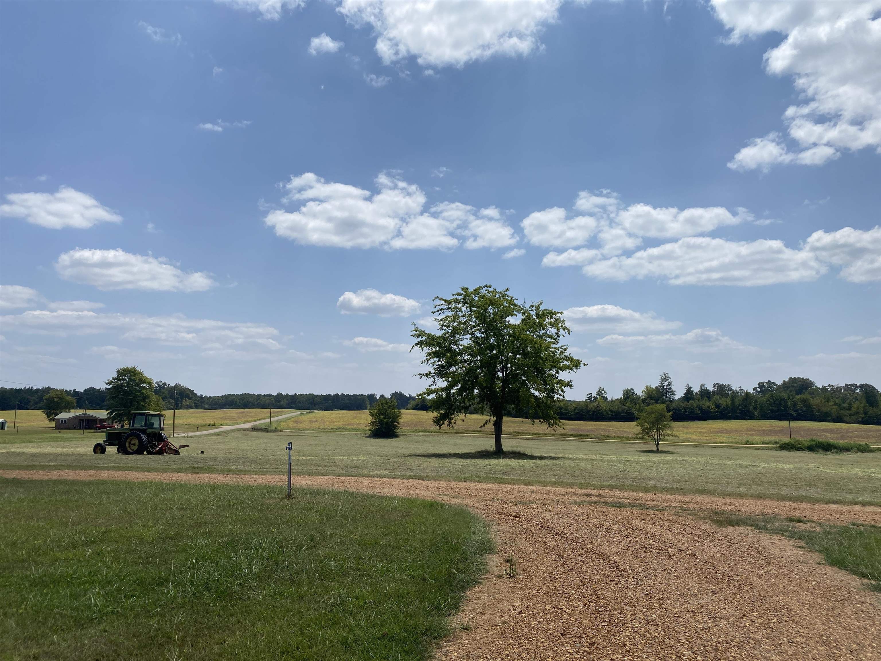 2265 Fellowship Road Sardis, TN 38371 - Photo 13 of 39 View of road