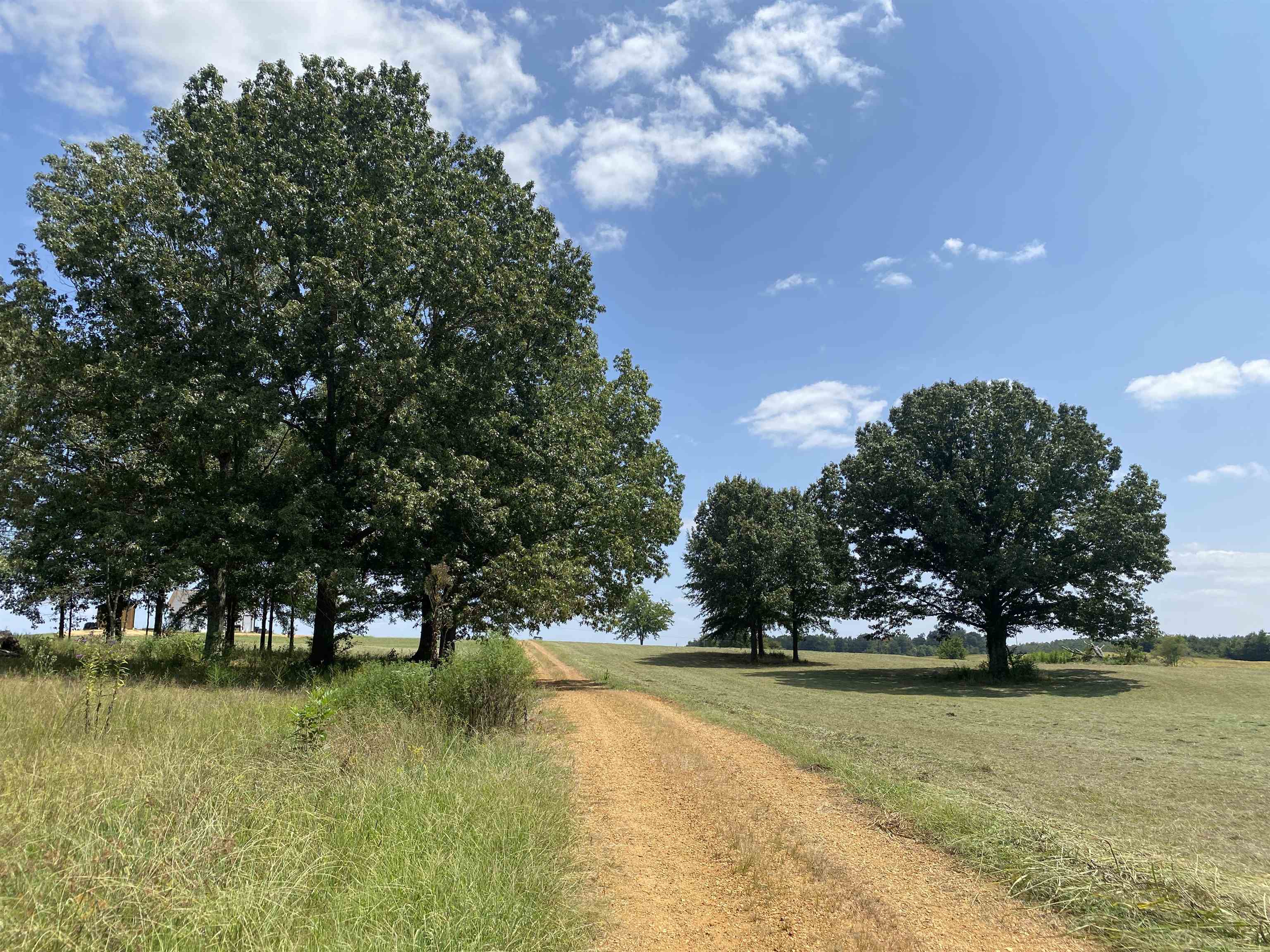 2265 Fellowship Road Sardis, TN 38371 - Photo 7 of 39 View of street featuring a rural view