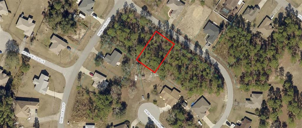 0 Hemlock Loop Ocala, FL 34472 - Photo 1 of 1