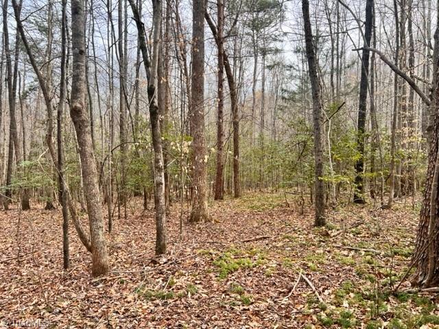 5591 Mt Lebanon Road Asheboro, NC 27205 - Photo 4 of 4