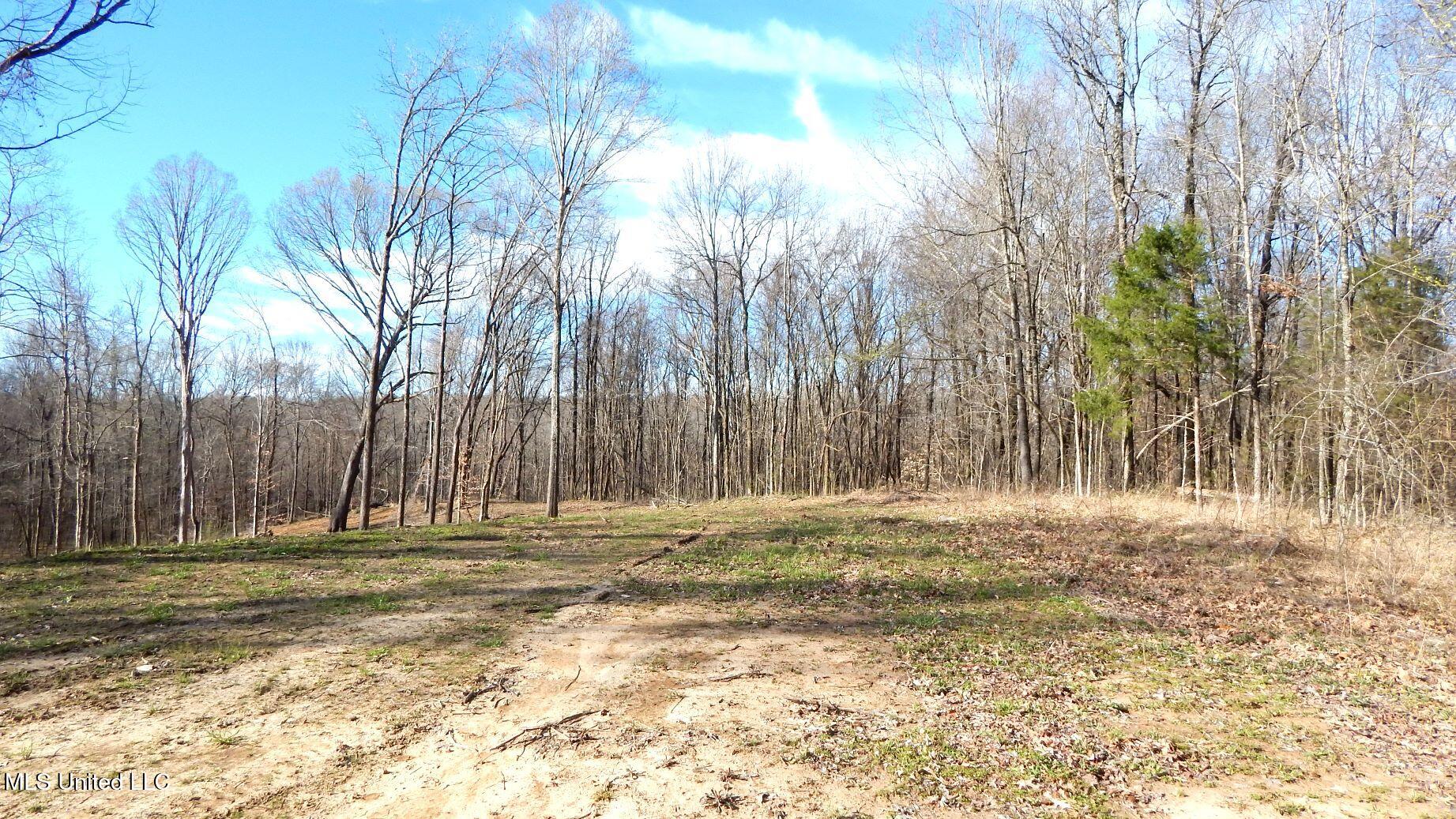 4577 Bluff Road Hernando, MS 38632 - Photo 12 of 57 DSCN6738