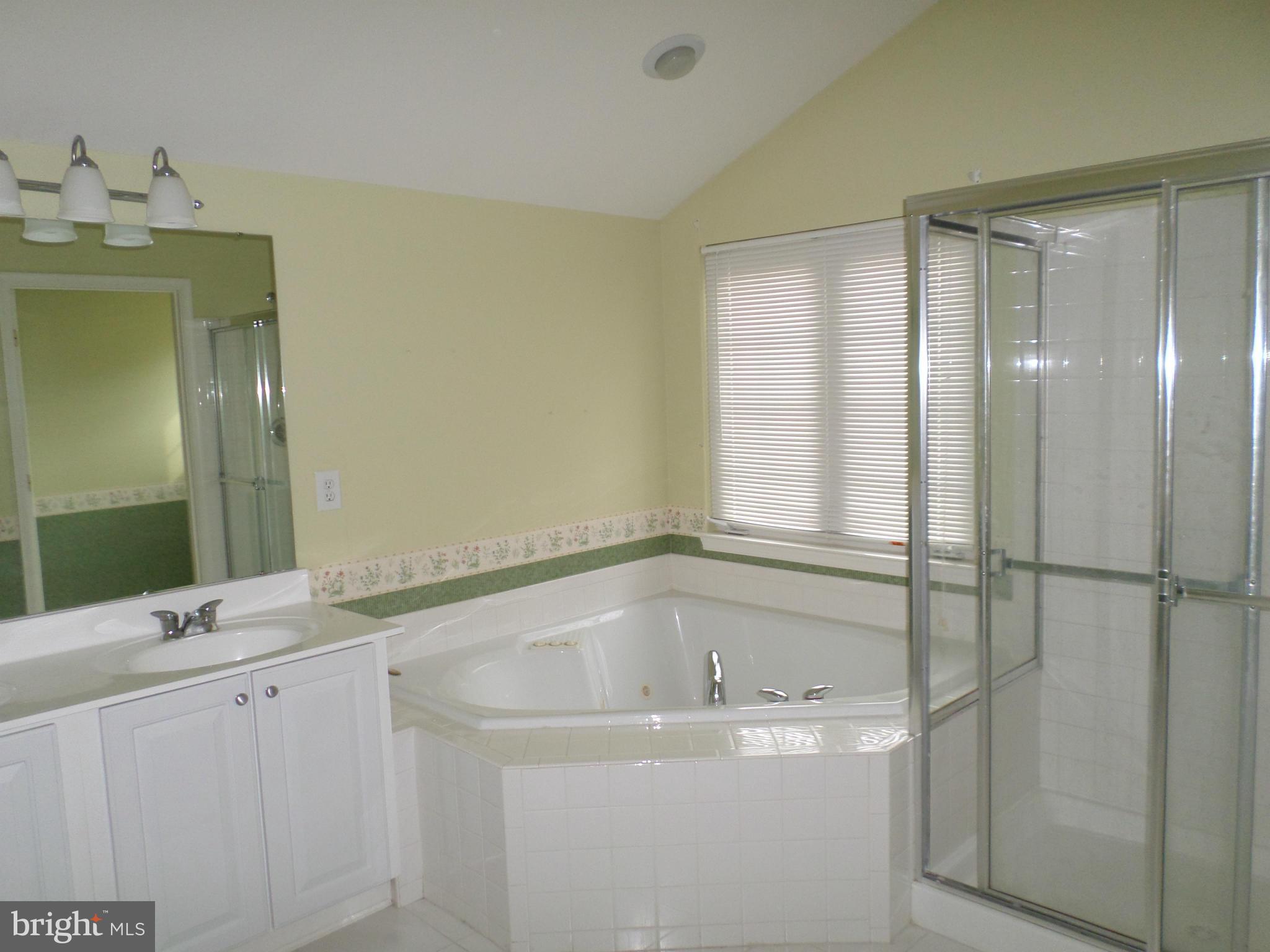 7784 Rotherham Drive Hanover, MD 21076 - Photo 23 of 30 Bath (Master)