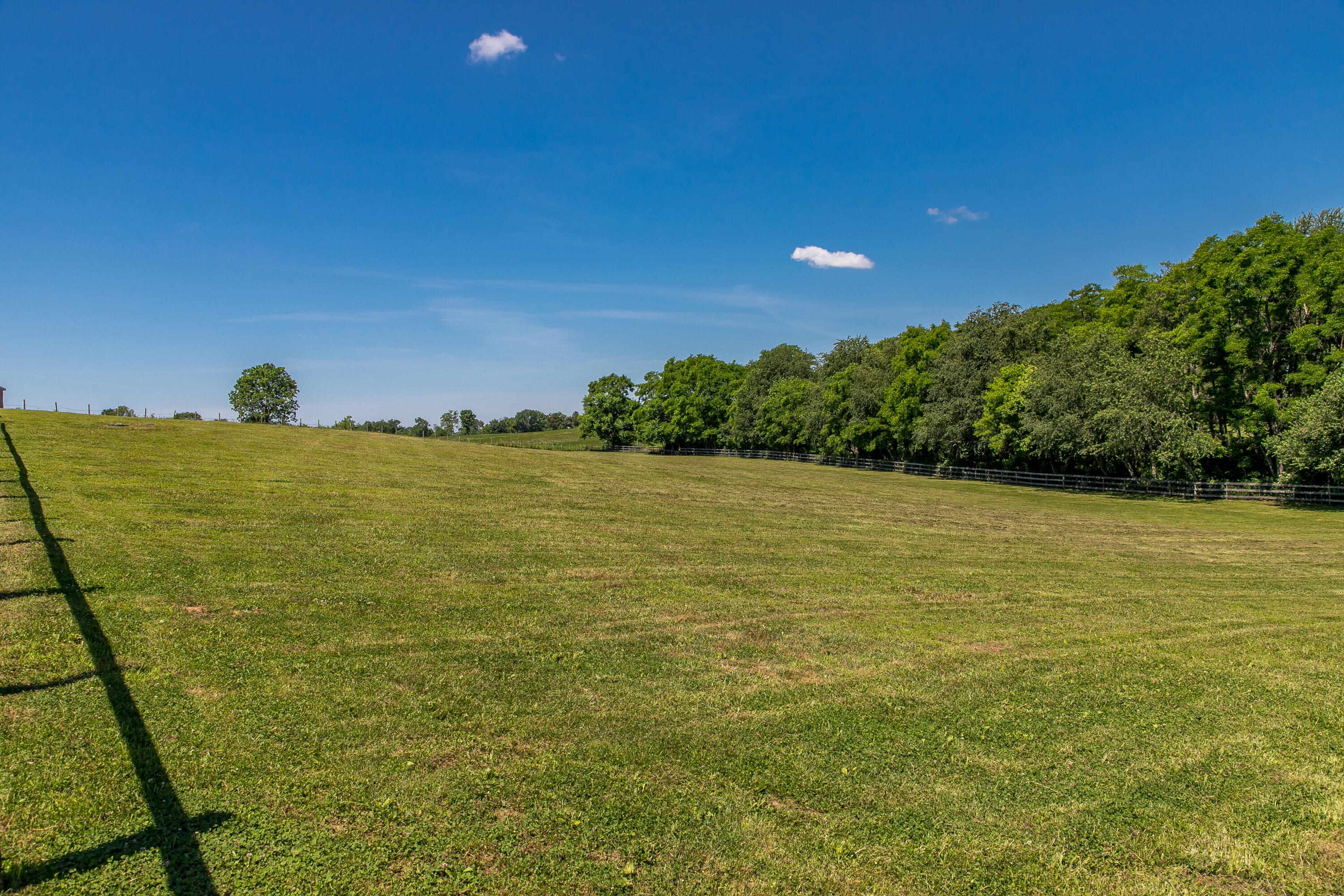 1025 Handys Bend Road Wilmore, KY 40390 - Photo 14 of 66 5