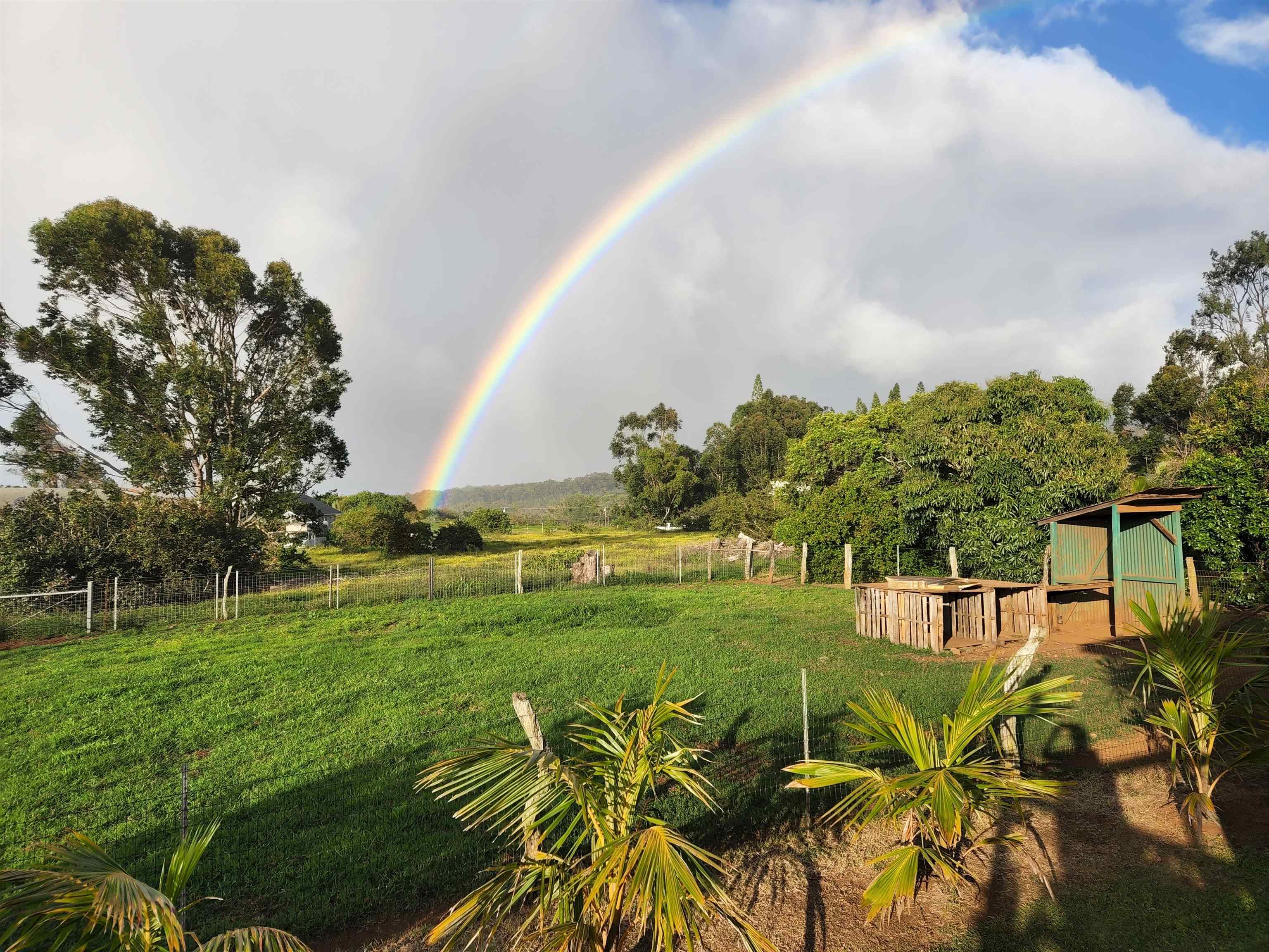 2594 Puuomalei Road Haiku, HI 96708 - Photo 30 of 30 a view of a golf course with a garden