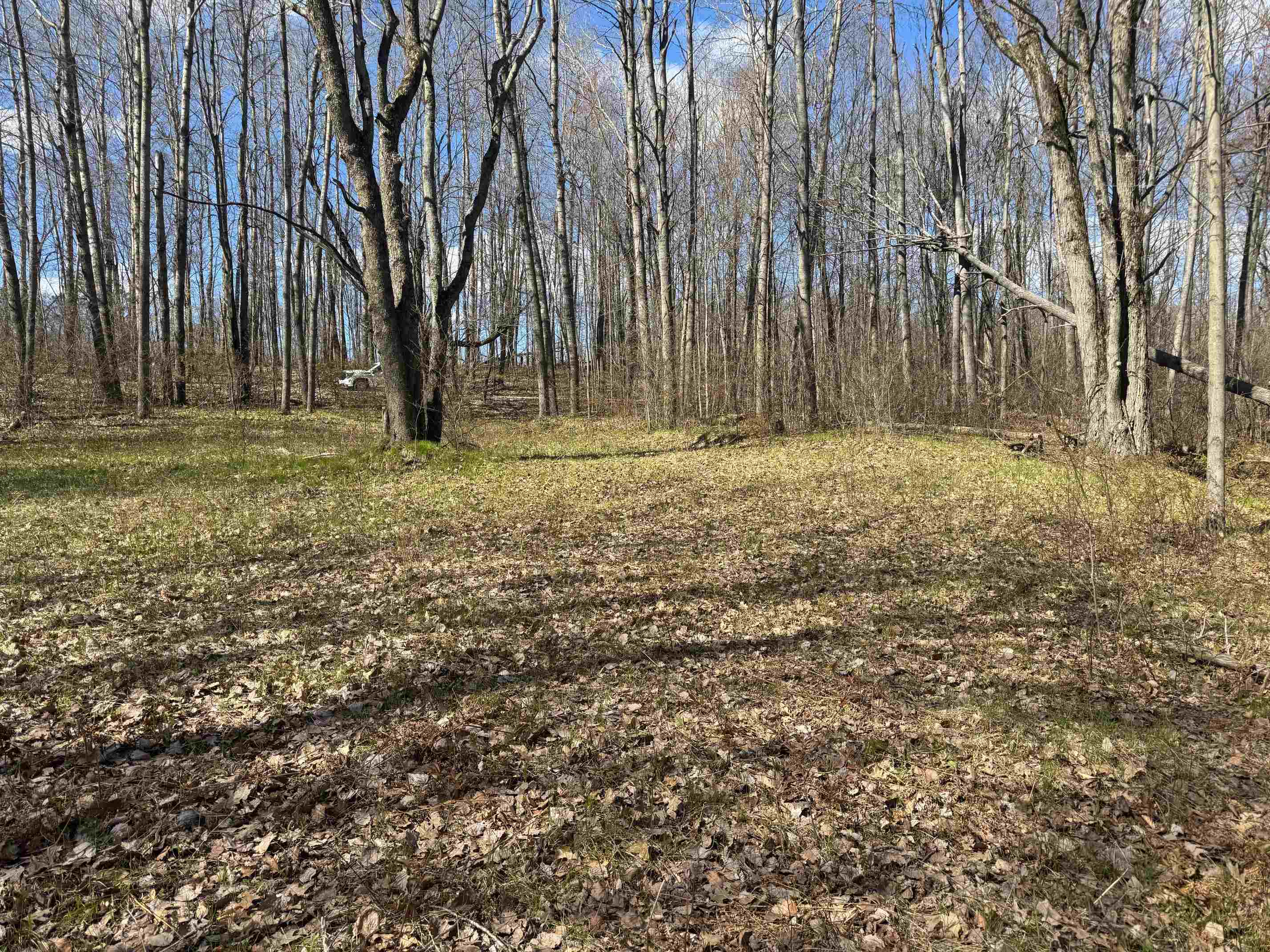 10311 Alpine Drive Reed City, MI 49677 - Photo 16 of 20