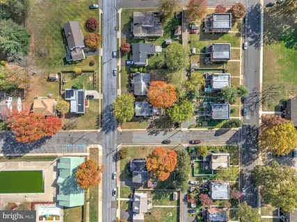 a view of a yard with a large tree