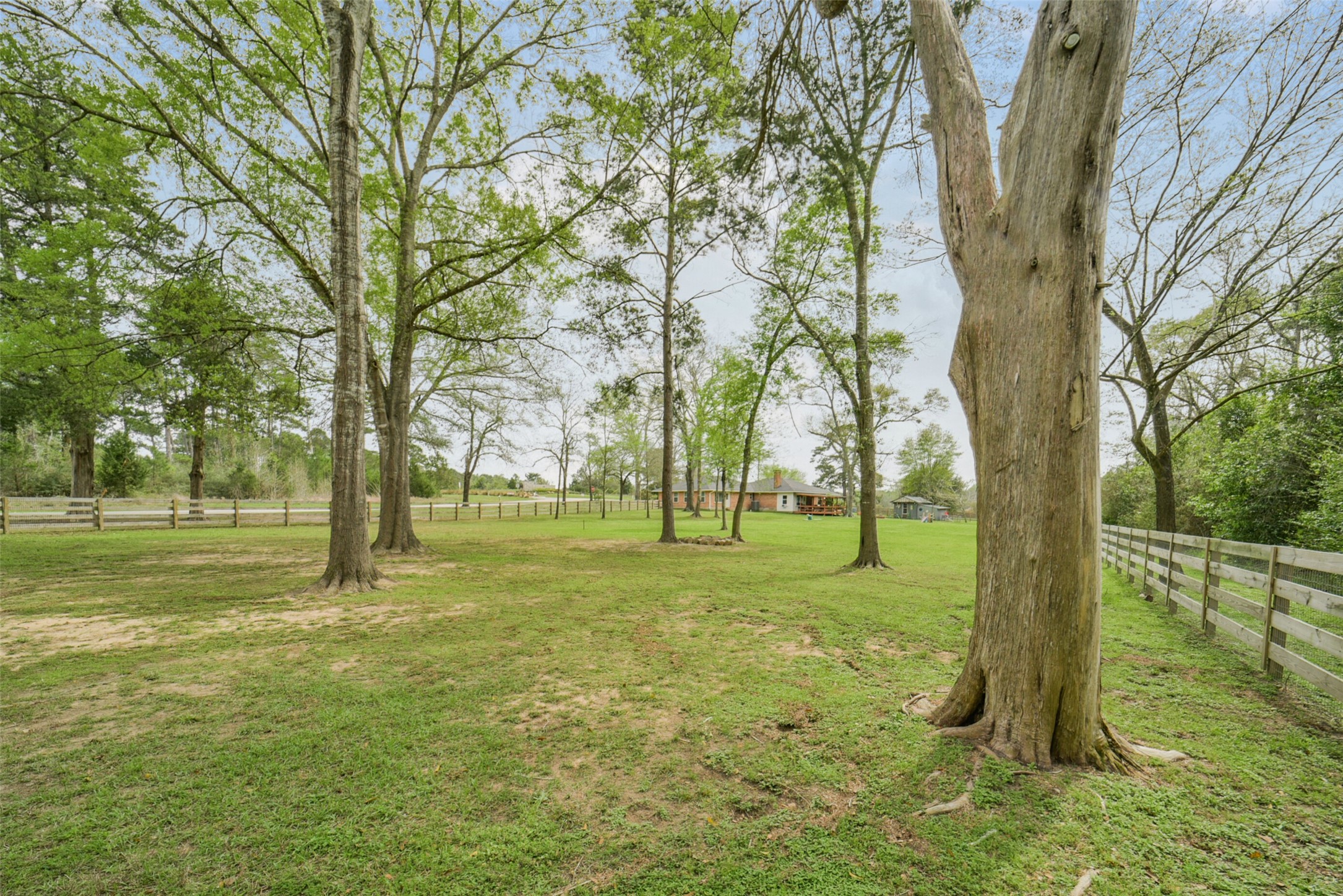 10313 South Williams Road Conroe, TX 77303 - Photo 44 of 48