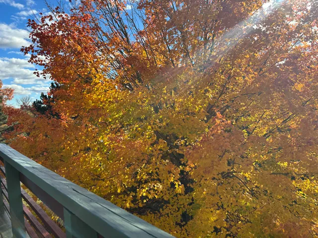 $239,900 | 250 Husson Avenue, Unit 1D, Bangor, ME 04401