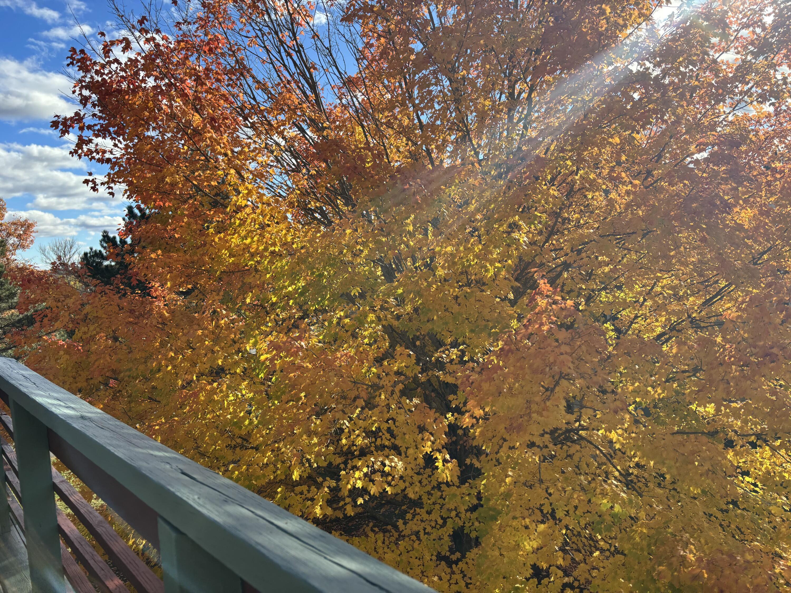 250 Husson Avenue, Unit 1D Bangor, ME 04401 - Photo 19 of 26 IMG_3256