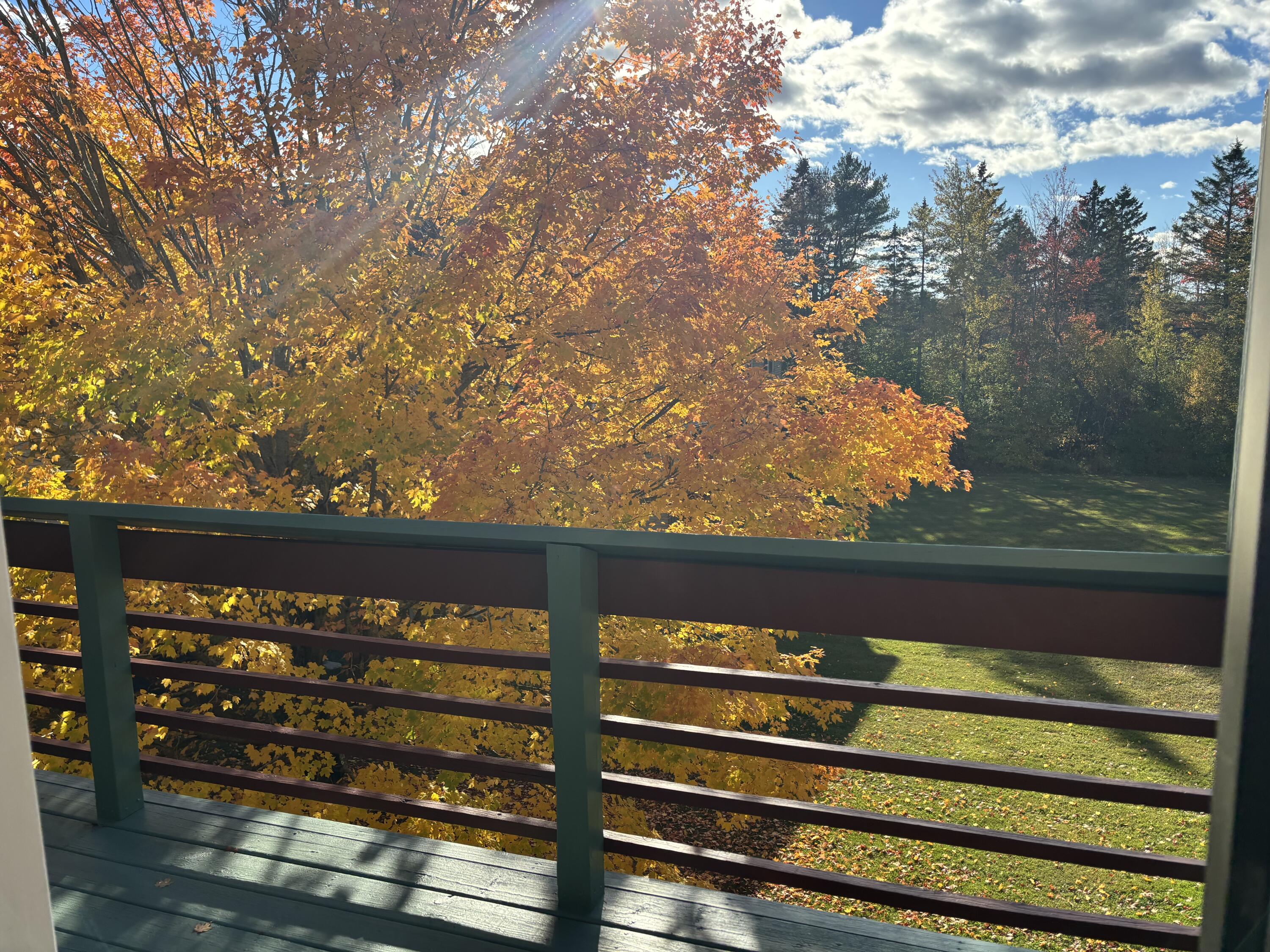 250 Husson Avenue, Unit 1D Bangor, ME 04401 - Photo 22 of 26 IMG_3254