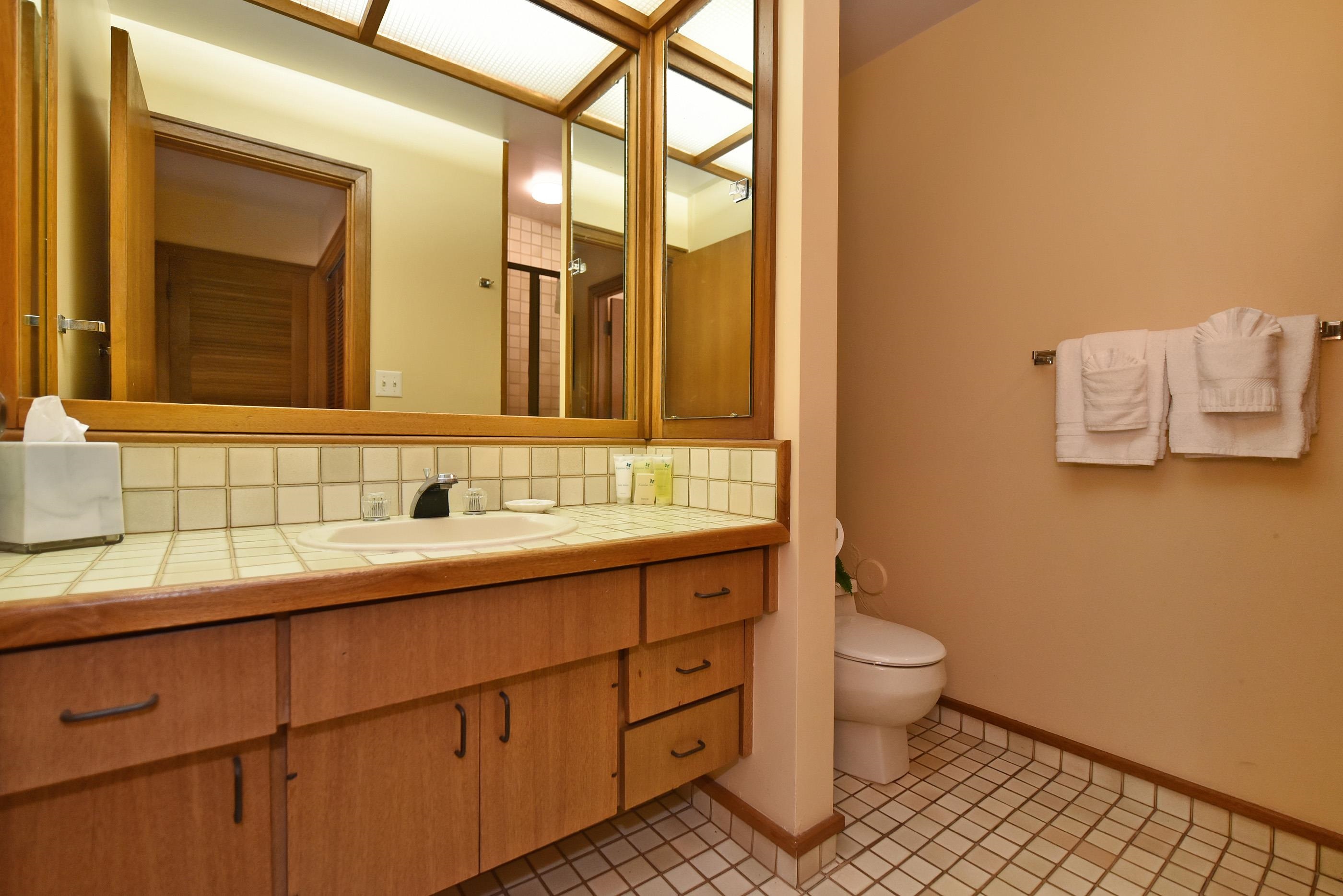 100 Ridge Road, Unit 161113 Lahaina, HI 96761 - Photo 9 of 30 a bathroom with a sink and a mirror