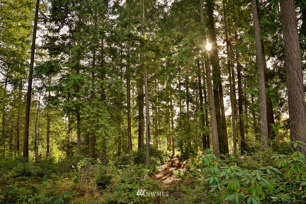 4244 Shokowakan Road Clinton, WA 98236 - Photo 24 of 25 Gallery Image 24