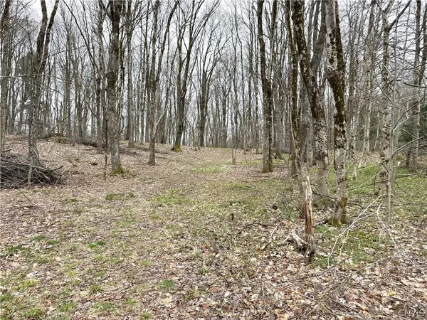 $349,000 | 10547 Sulphur Springs Road, Lee, NY 13471