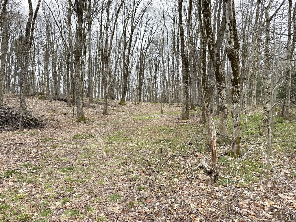 10547 Sulphur Springs Road Lee, NY 13471 - Photo 35 of 44