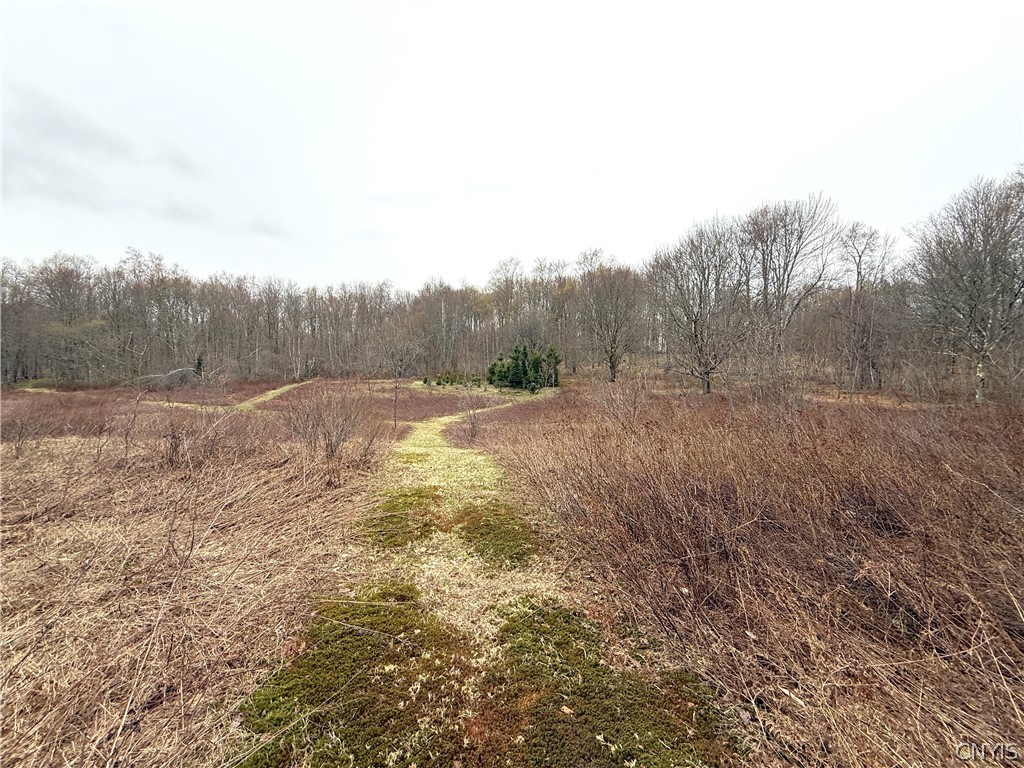 10547 Sulphur Springs Road Lee, NY 13471 - Photo 36 of 44