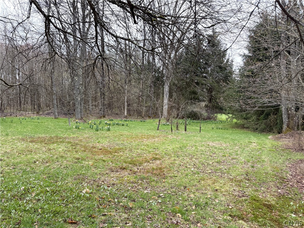 10547 Sulphur Springs Road Lee, NY 13471 - Photo 40 of 44