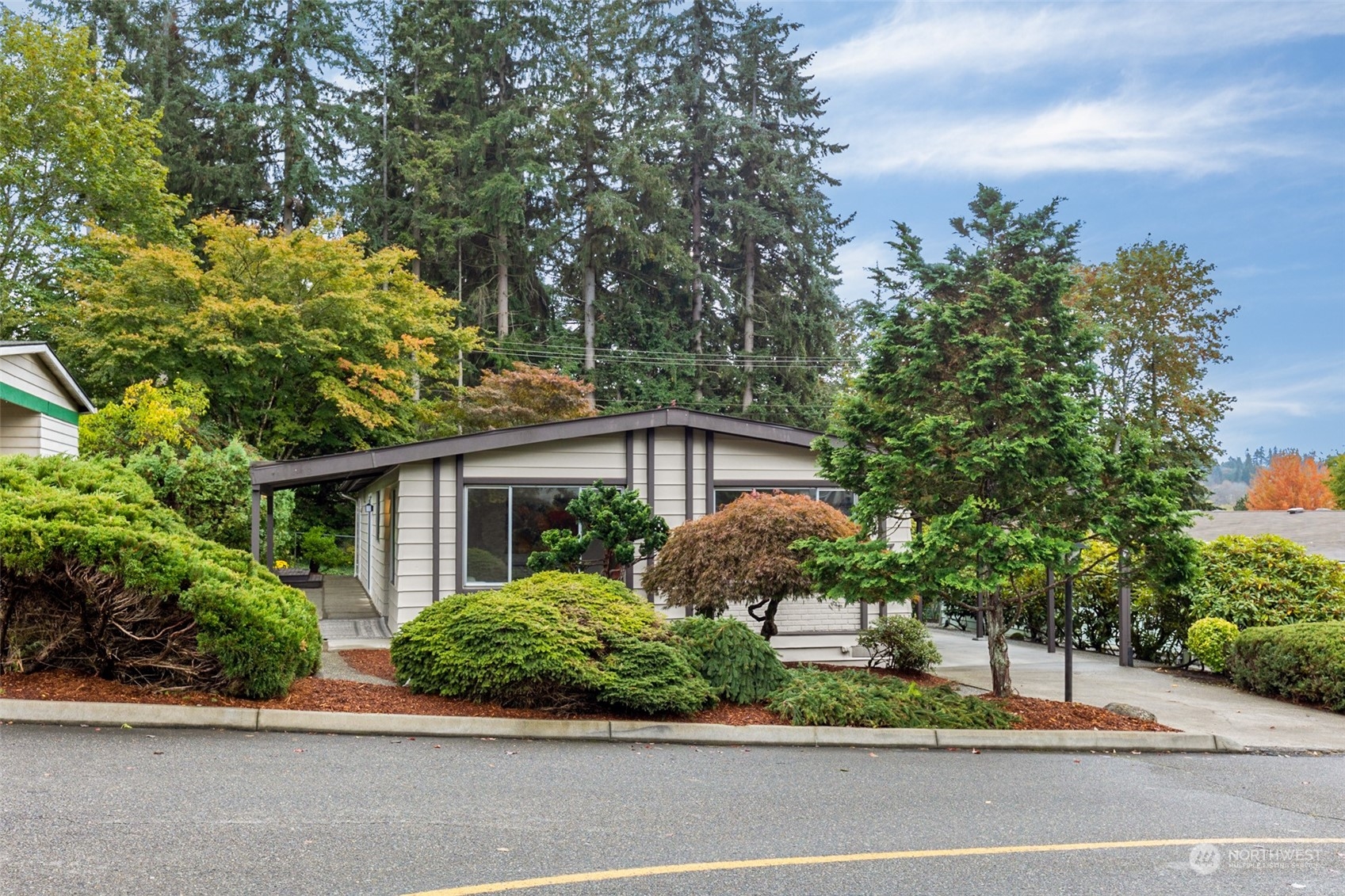 a view of a house with a small yard plants and a large tree