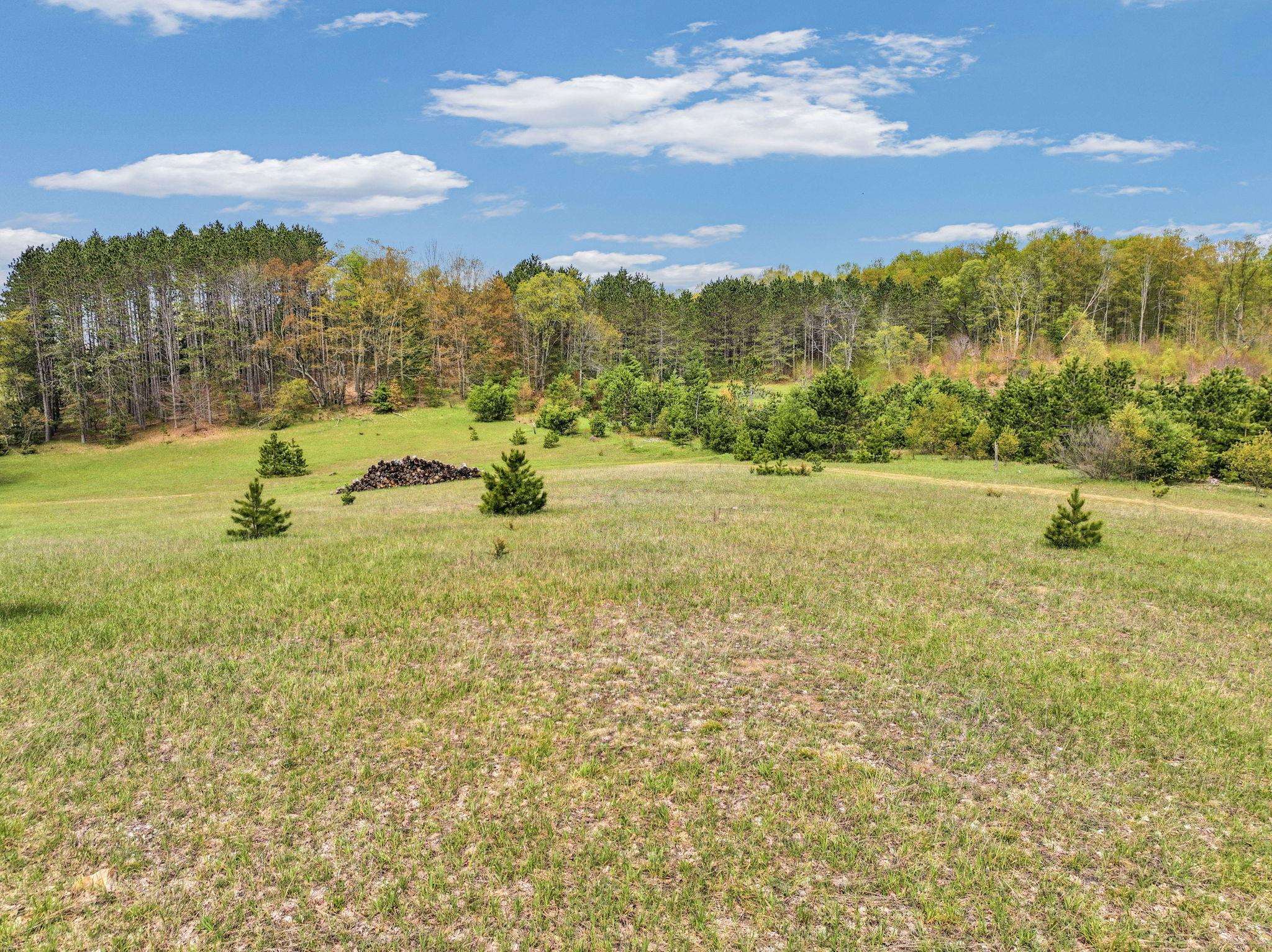 22386 16 Mile Road Leroy, MI 49655 - Photo 52 of 63