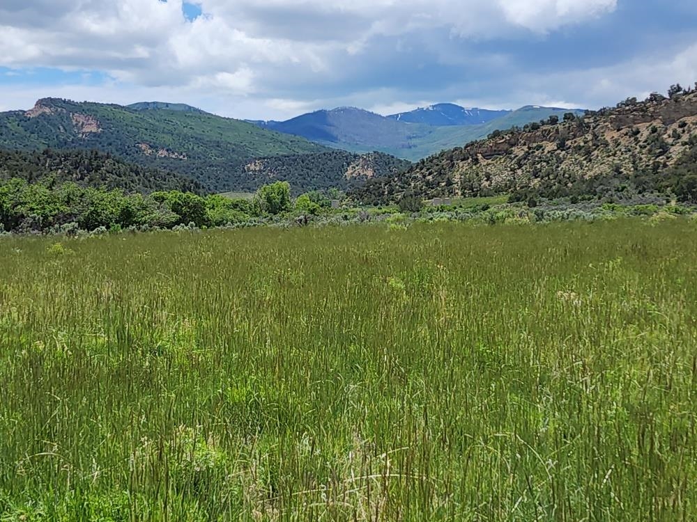 322 County Road 322 Rifle, CO 81650 - Photo 21 of 36 Gallery Image 21