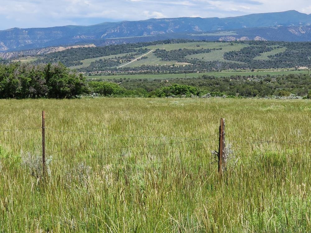 322 County Road 322 Rifle, CO 81650 - Photo 27 of 36 Gallery Image 27