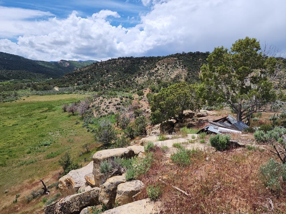 322 County Road 322 Rifle, CO 81650 - Photo 3 of 36 Gallery Image 3
