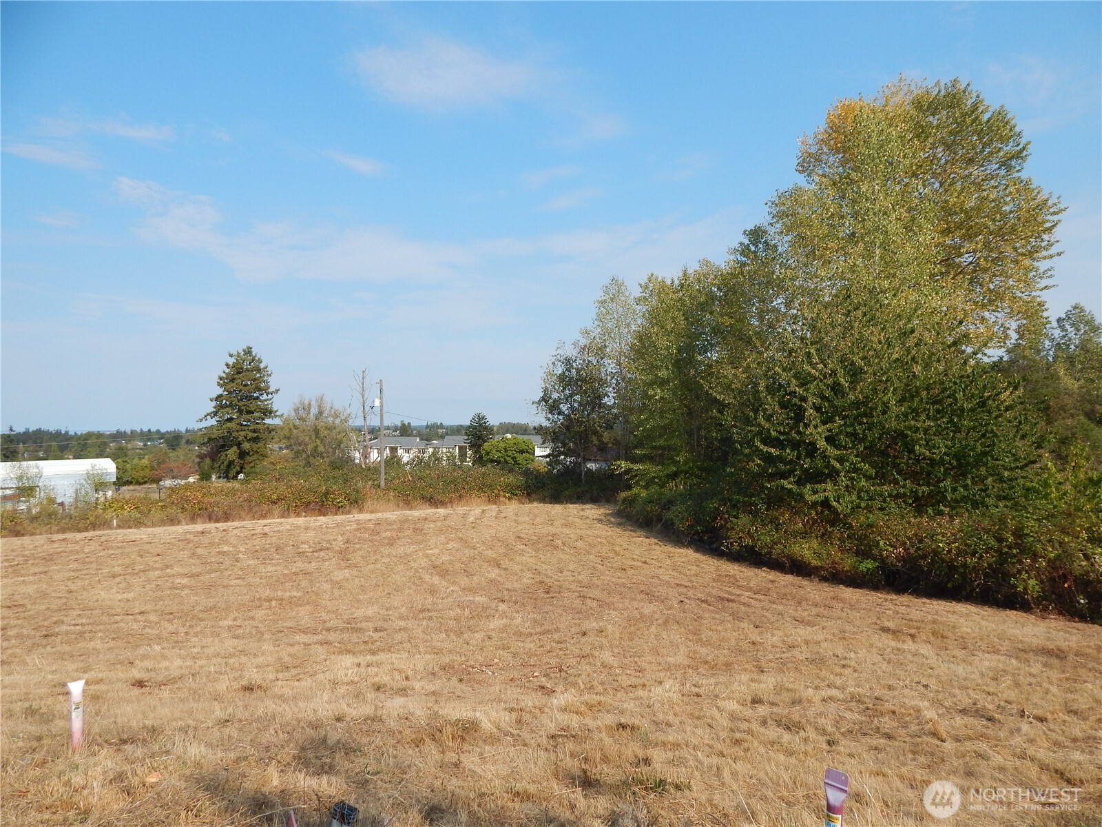 872 South Still Road Sequim, WA 98382 - Photo 4 of 10 a street view with large trees