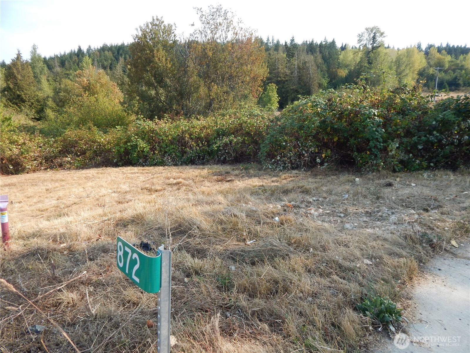 872 South Still Road Sequim, WA 98382 - Photo 6 of 10 a view of a dry yard with trees