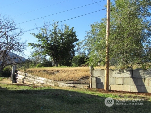 309 North Main Street Riverside, WA 98849 - Photo 25 of 31 a view of a yard with an tree