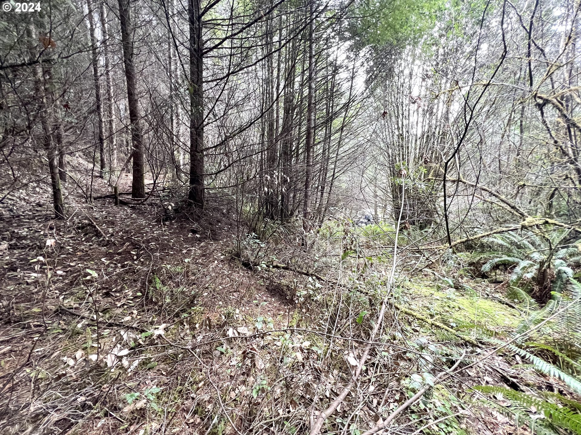 57464 Cherry Creek Road Myrtle Point, OR 97458 - Photo 12 of 18 Gallery Image 12