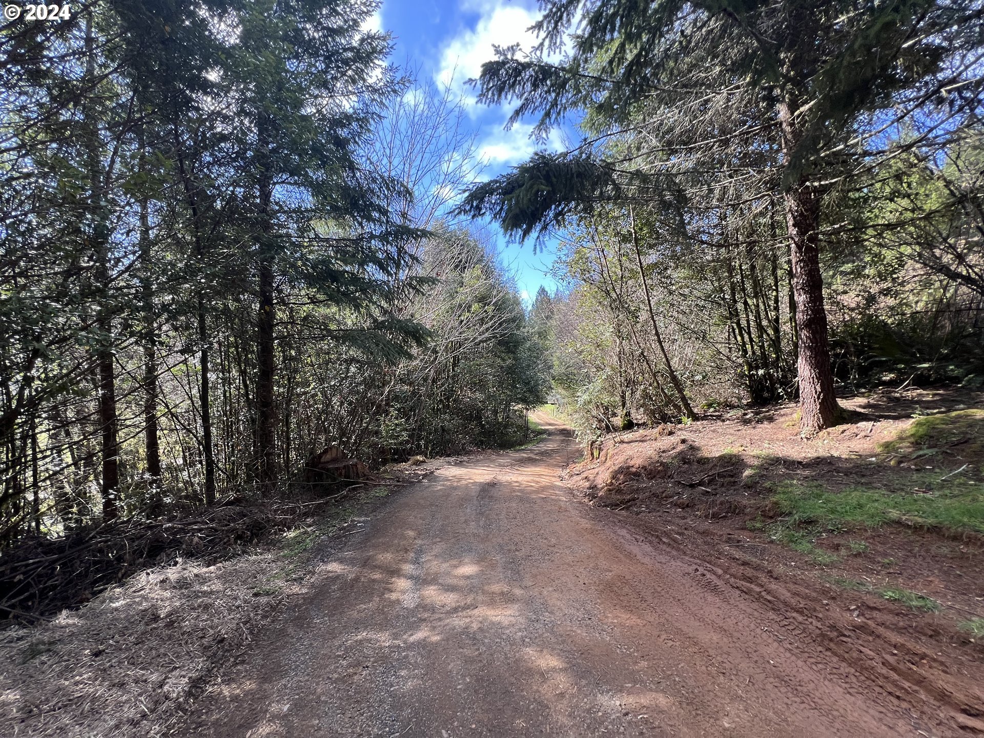 57464 Cherry Creek Road Myrtle Point, OR 97458 - Photo 14 of 18 Gallery Image 14