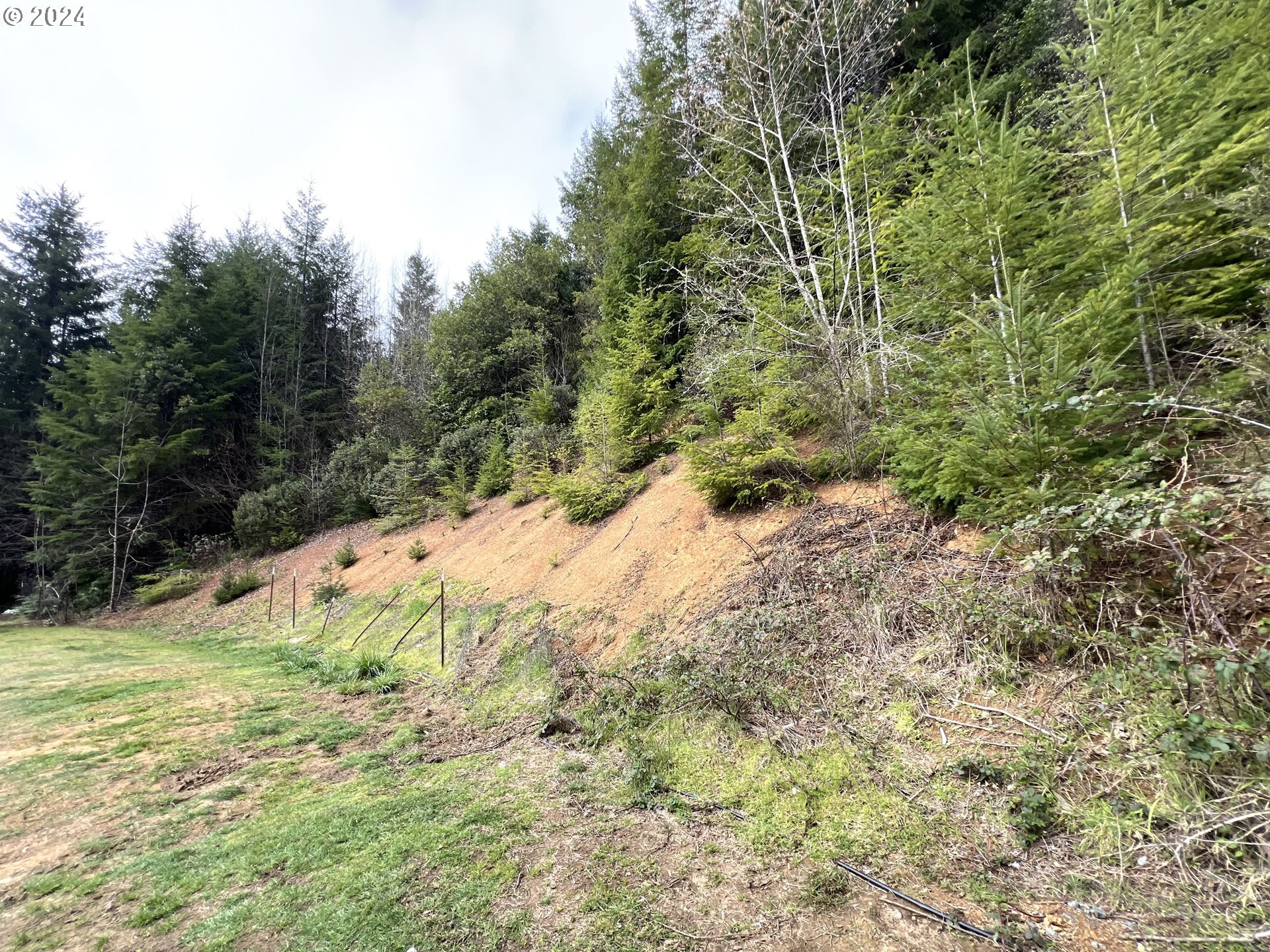 57464 Cherry Creek Road Myrtle Point, OR 97458 - Photo 7 of 18 Gallery Image 7