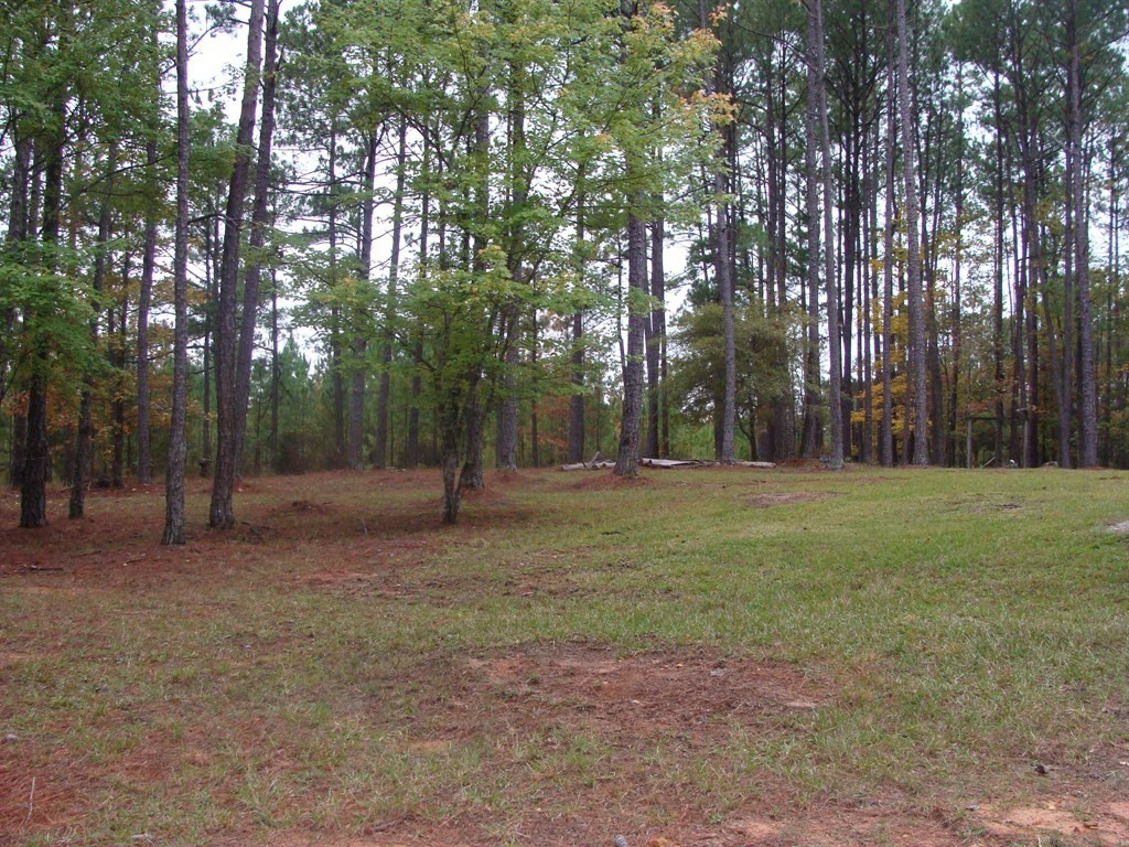 1280 Indian Road Lincolnton, GA 30817 - Photo 4 of 16 Gallery Image 4
