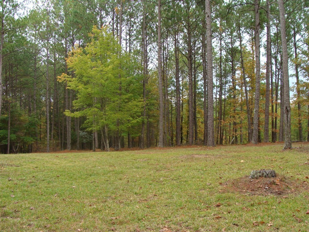 1280 Indian Road Lincolnton, GA 30817 - Photo 5 of 16 Gallery Image 5