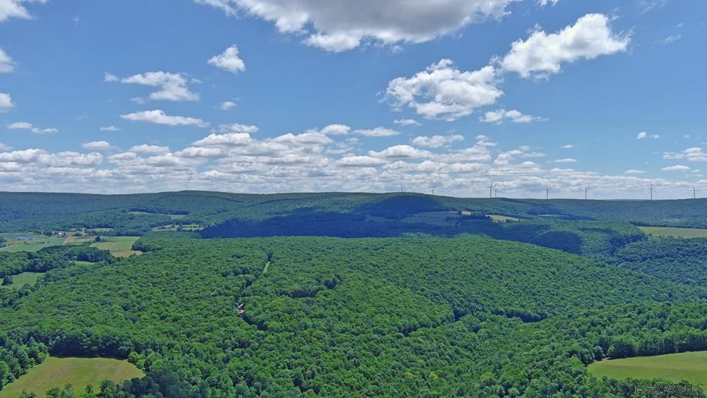 2319 Mt David Road Fort Hill, PA 15540 - Photo 34 of 48