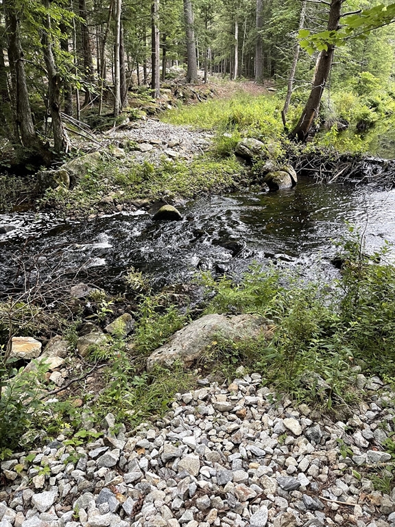 24 Brook Road Amherst, NH 03031 - Photo 1 of 3 a view of a yard with plants and large trees