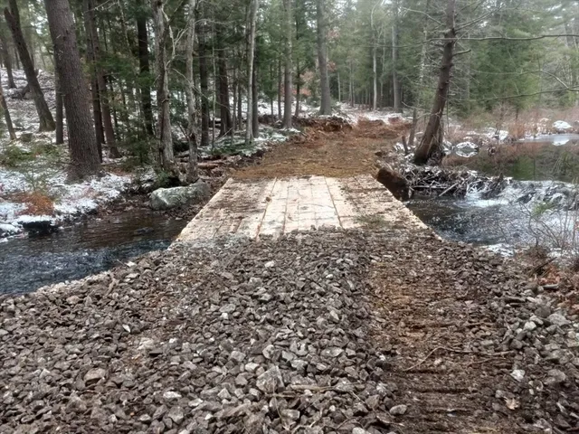a view of a yard with trees