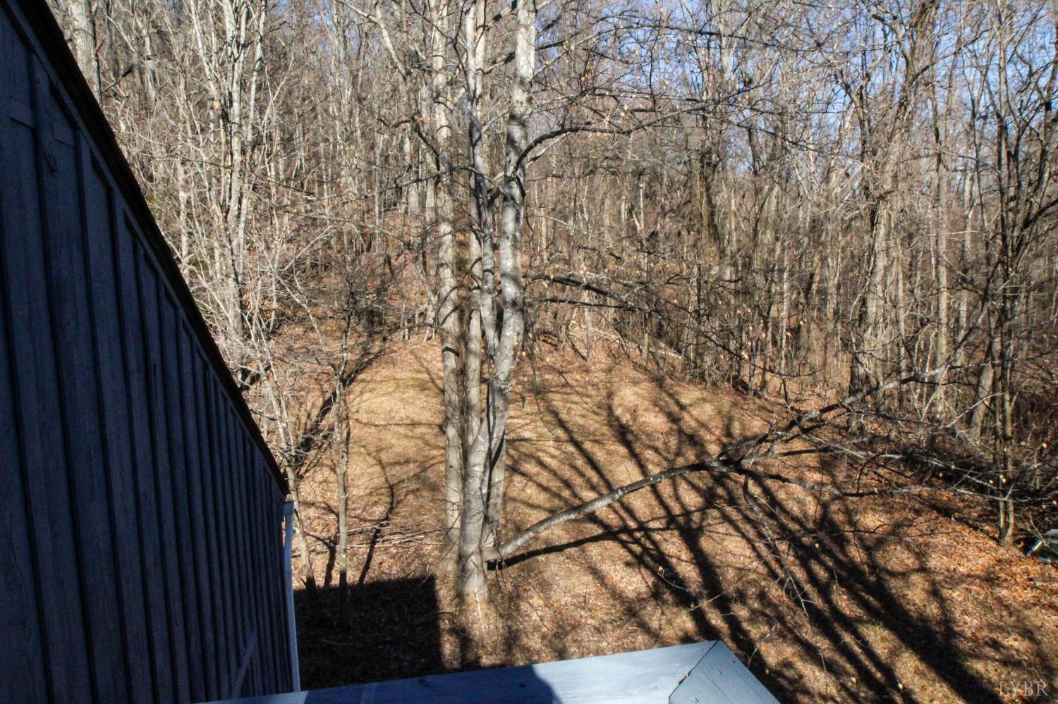 2403 Wagon Trail Road Monroe, VA 24574 - Photo 49 of 95 Gallery Image 49