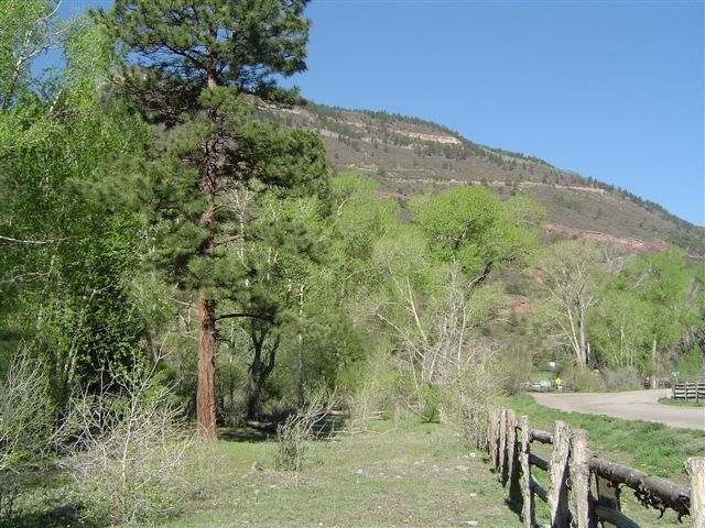 90 Marys Road Ridgway, CO 81432 - Photo 4 of 6 Additional Photo