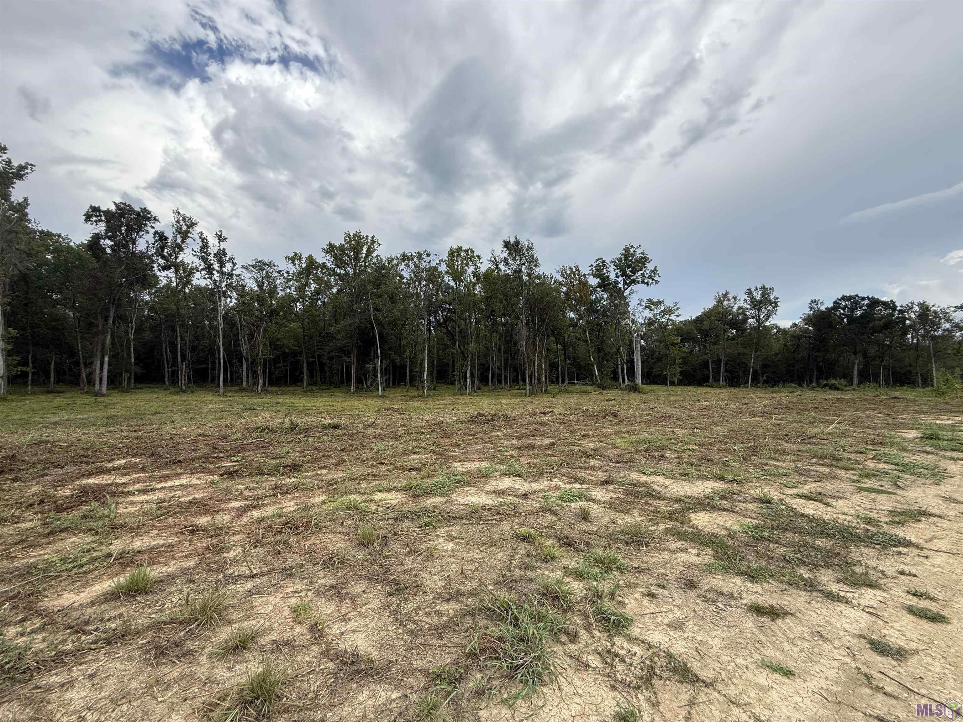 6-z-1-c Pertuis Road St. Amant, LA 70774 - Photo 11 of 16