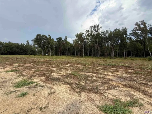 $209,000 | 6-z-1-c Pertuis Road, St. Amant, LA 70774