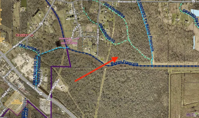 $209,000 | 6-z-1-c Pertuis Road, St. Amant, LA 70774