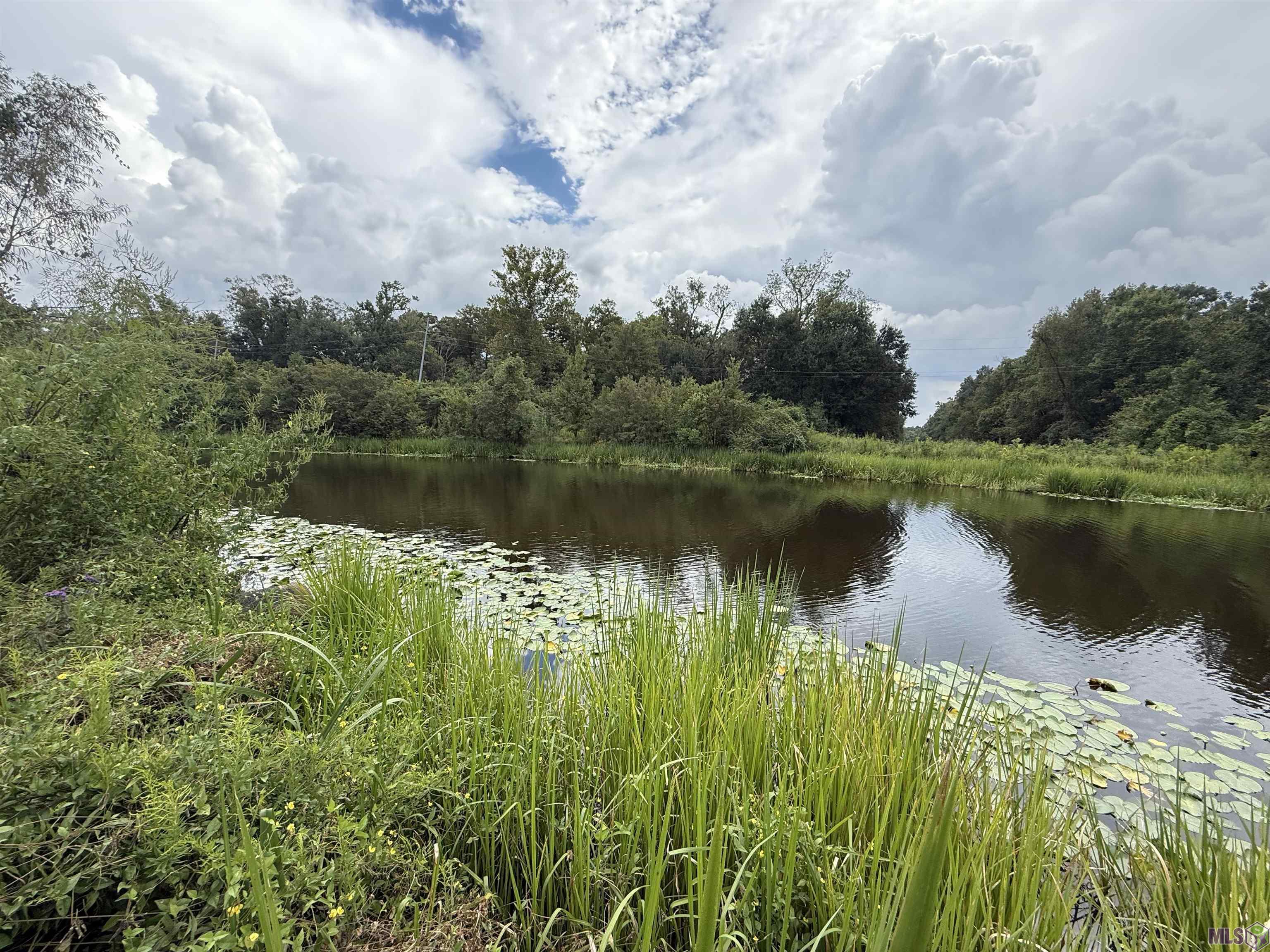 6-z-1-c Pertuis Road St. Amant, LA 70774 - Photo 5 of 16