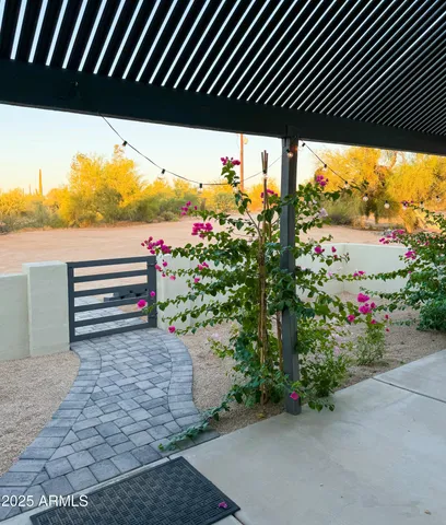 a view of a porch with a potted plant