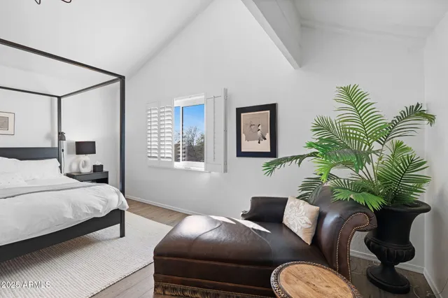 a bedroom with a bed a couch and a potted plant